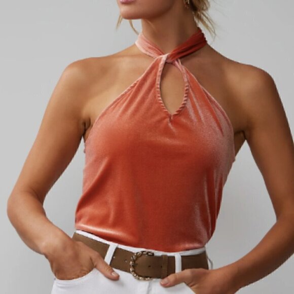 New York and Company Turkish Rust Sleeveless Halter Neck Velvet Top Size Large - Picture 8 of 12
